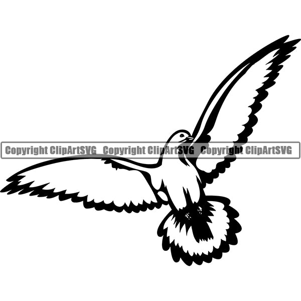 Dove Animal ClipArt SVG