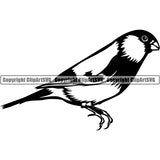 Bullfinch Bird Animal ClipArt SVG