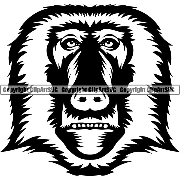 Baboon Animal ClipArt SVG