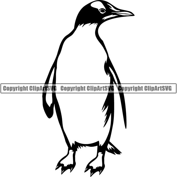 Penguin Animal ClipArt SVG