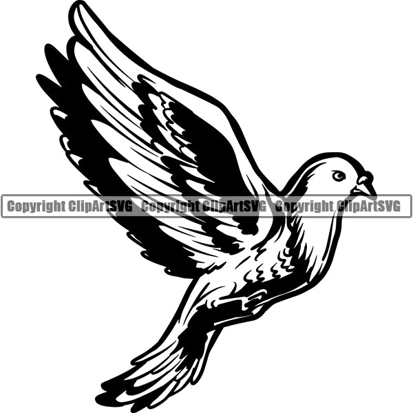 Dove Animal ClipArt SVG