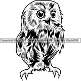 Owl Animal ClipArt SVG