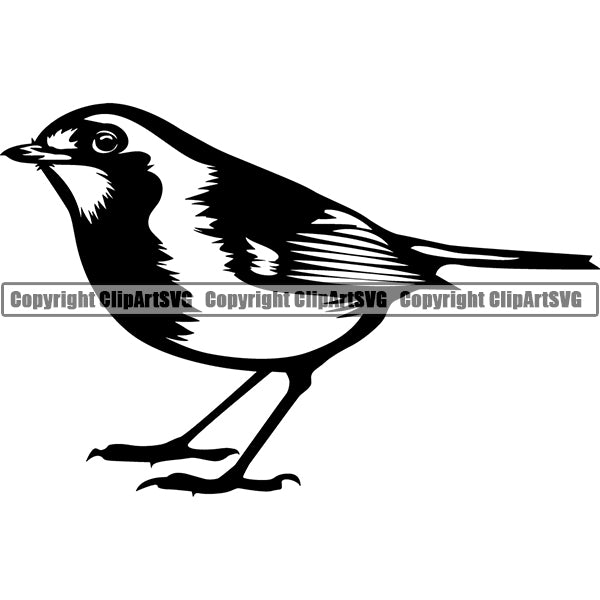 Robin Animal ClipArt SVG