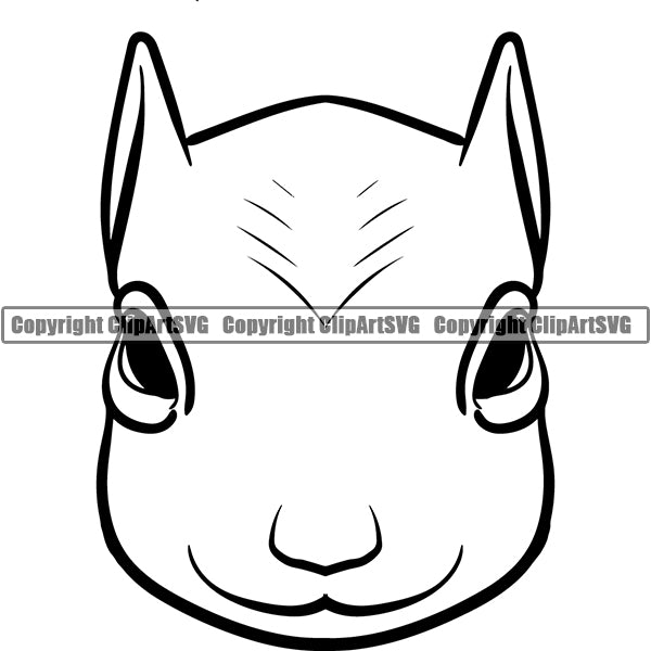 Squirrel Animal ClipArt SVG