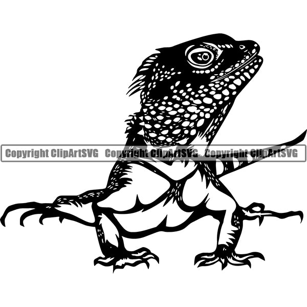 Bearded Dragon Animal ClipArt SVG