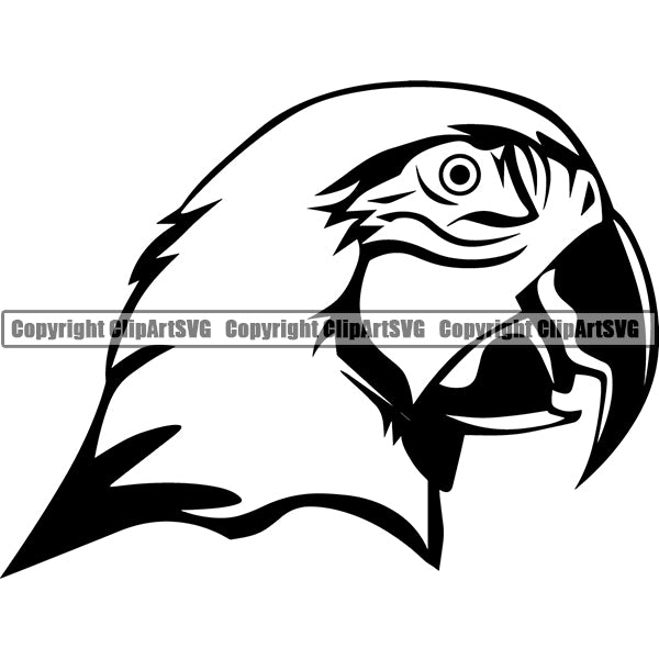 Parrot Animal ClipArt SVG