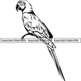 Parrot Animal ClipArt SVG