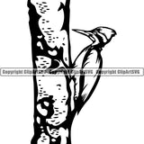 Woodpecker Animal ClipArt SVG