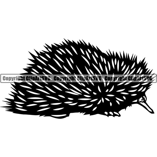 Porcupine Animal ClipArt SVG