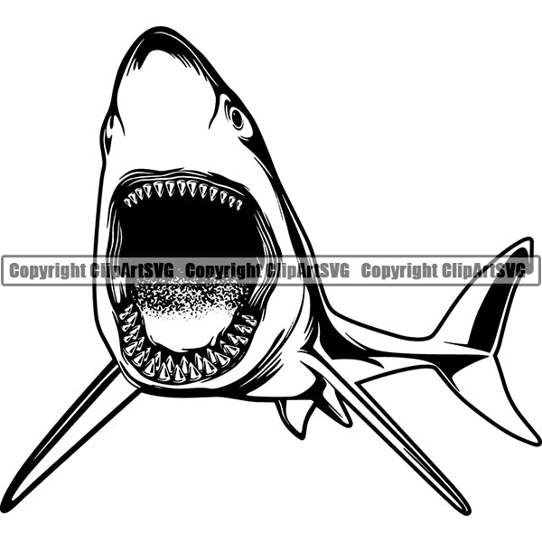 Shark Animal ClipArt SVG