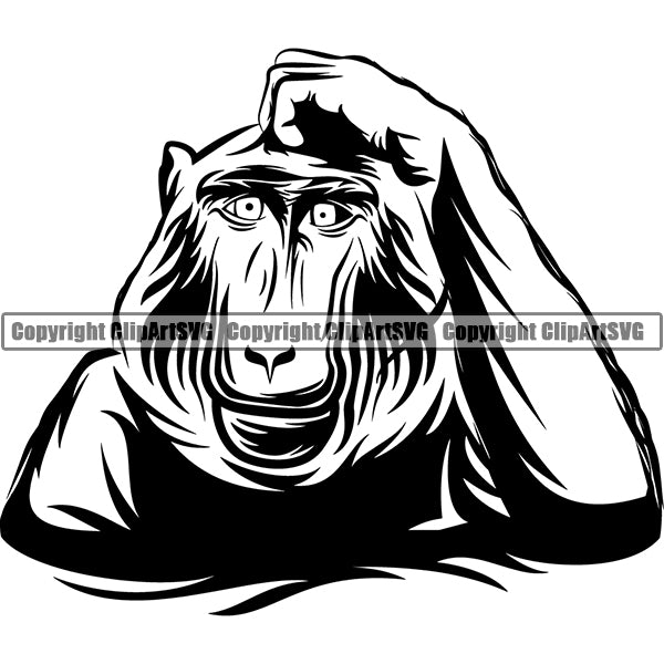 Baboon Animal ClipArt SVG