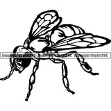 Wasp Bee Insect Pest Animal ClipArt SVG