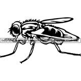 Fly Animal ClipArt SVG