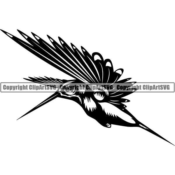 Hummingbird Animal ClipArt SVG