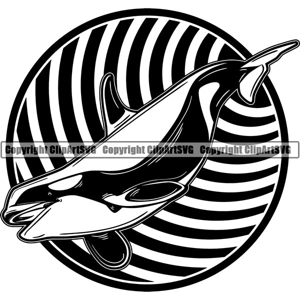 Whale Killer Animal ClipArt SVG