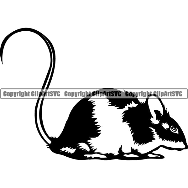 Mouse Animal ClipArt SVG