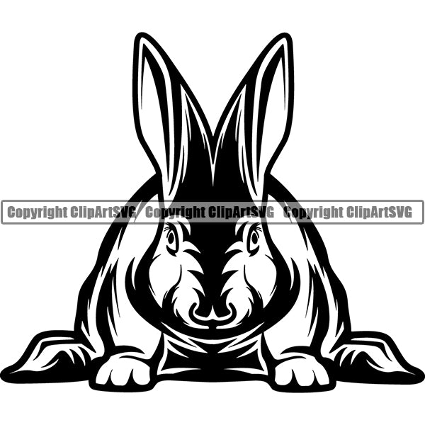 Rabbit Animal ClipArt SVG