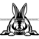 Rabbit Animal ClipArt SVG