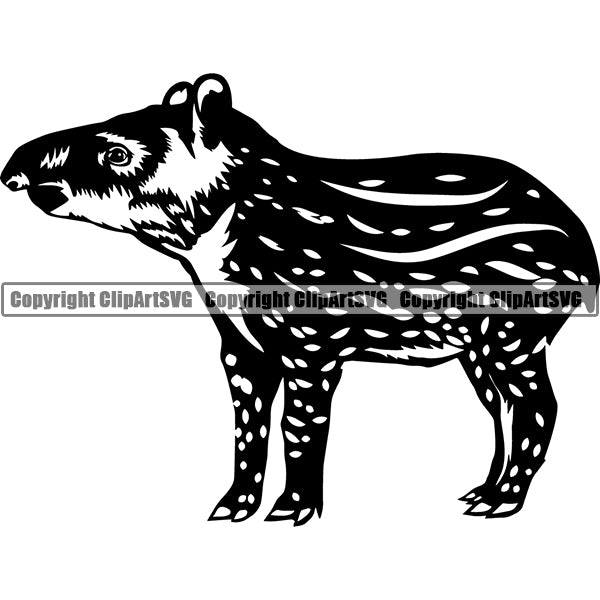 Tapir Animal ClipArt SVG