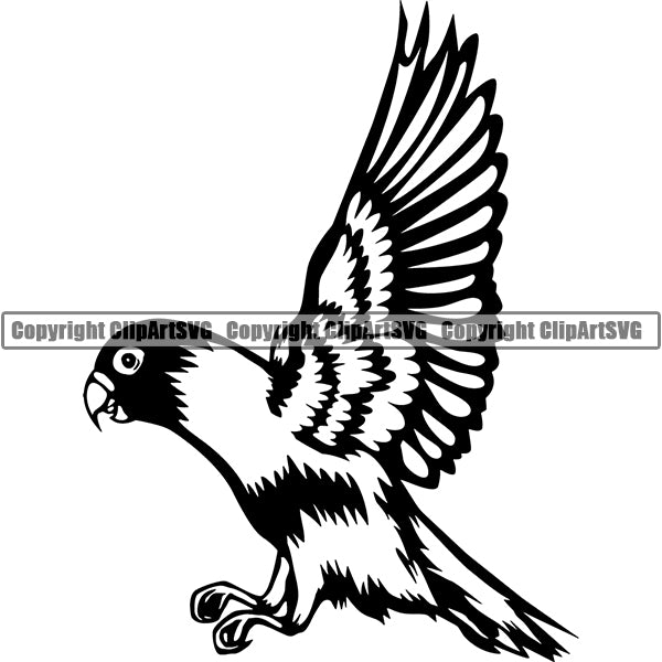Lovebird Animal ClipArt SVG