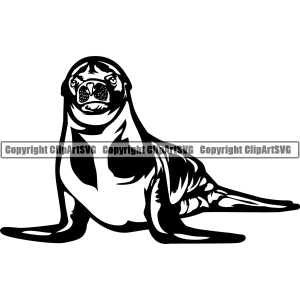 Seal Animal ClipArt SVG