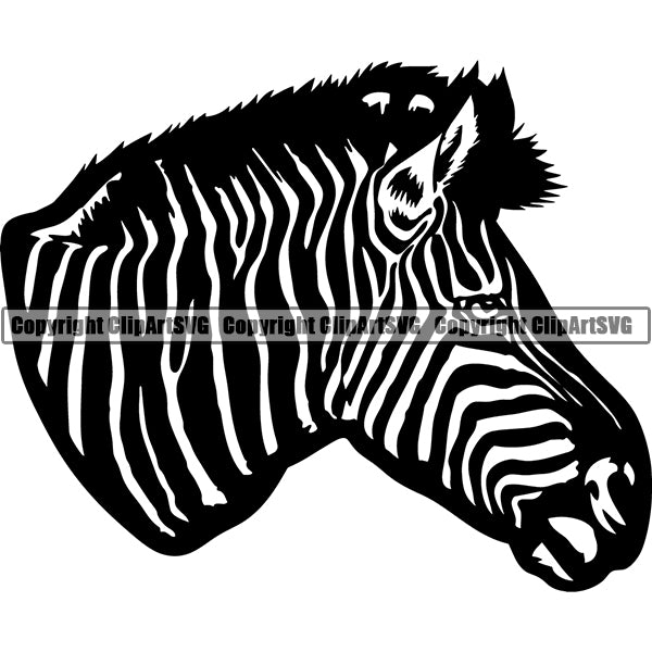 Zebra Animal ClipArt SVG