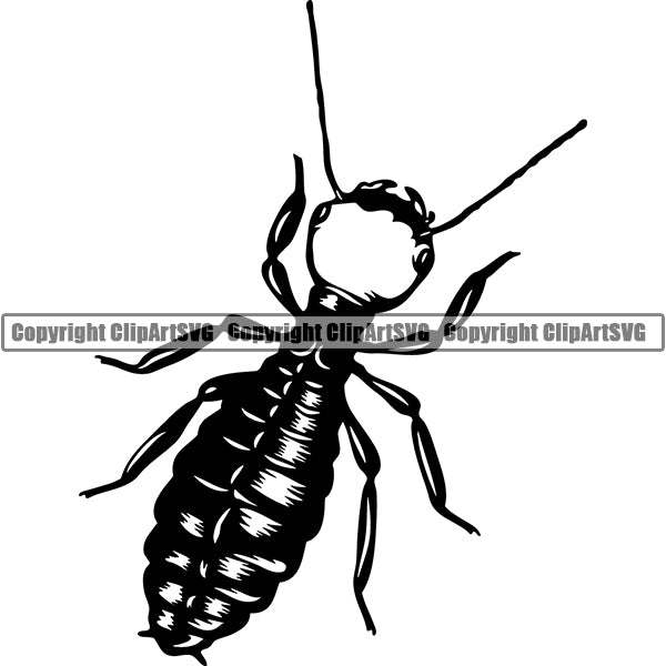 Termite Animal ClipArt SVG
