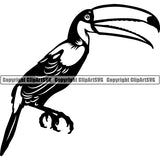 Toucan Bird Animal ClipArt SVG