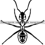 Ant Insect Animal ClipArt SVG