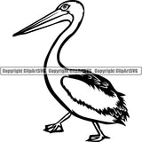 Duck Pelican Animal ClipArt SVG