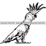 Cockatiel Bird Animal ClipArt SVG