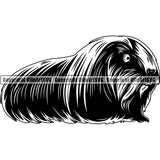 Guinea Pig Animal ClipArt SVG