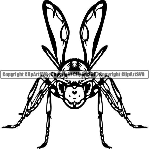 Wasp Animal ClipArt SVG