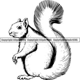 Squirrel Animal ClipArt SVG