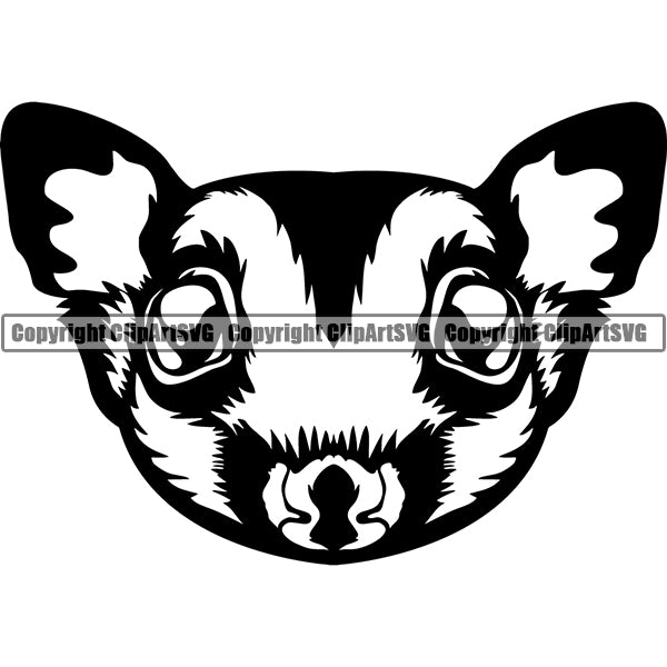 Sugar Glider Animal ClipArt SVG
