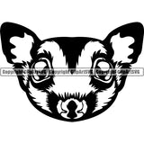 Sugar Glider Rodent Animal ClipArt SVG