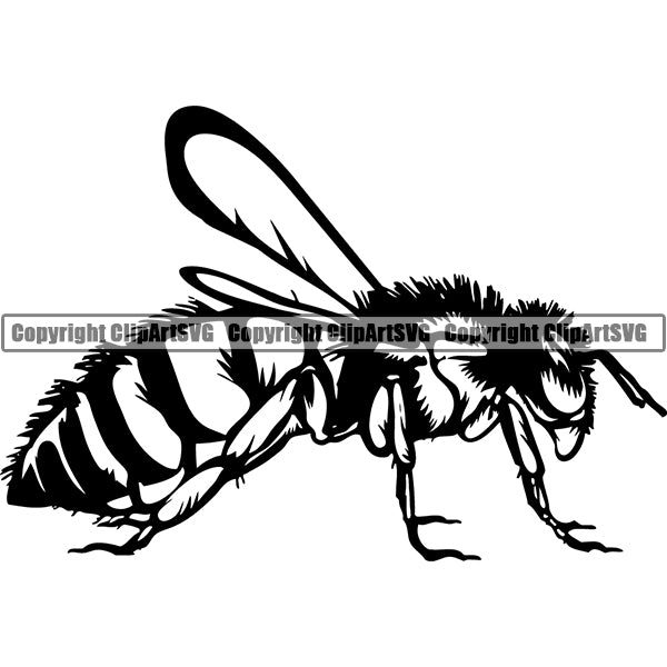Bee Animal ClipArt SVG