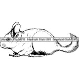 Chinchilla gb7y ClipArt SVG File