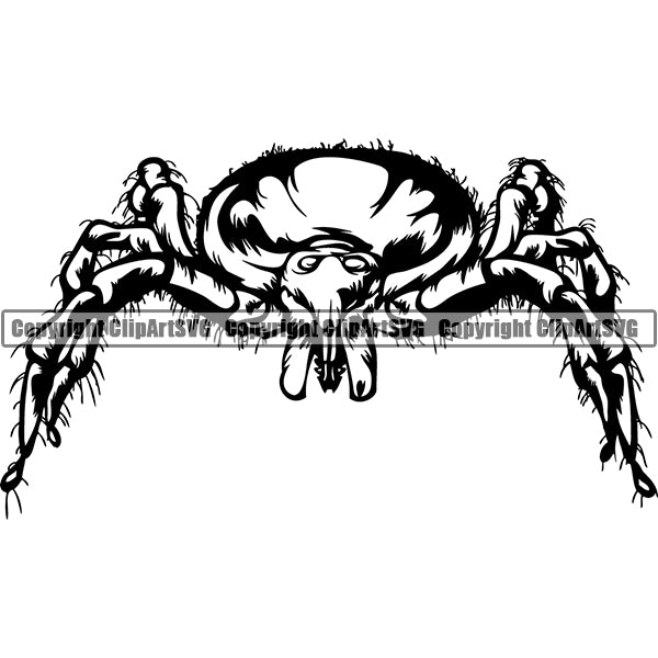 Tick Animal ClipArt SVG