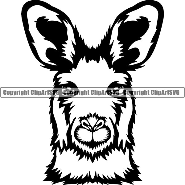 Kangaroo Animal ClipArt SVG