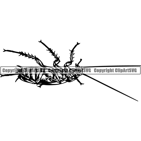 Cockroach 4bnnka ClipArt SVG File