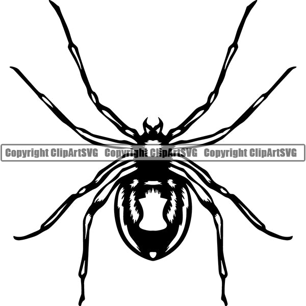 Spider Black Widow Animal ClipArt SVG