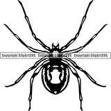 Spider Black Widow Animal ClipArt SVG