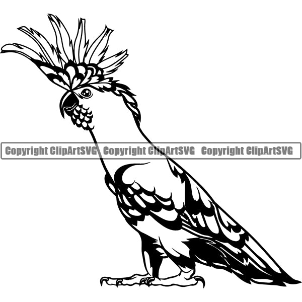Cockatoo g6yhcb ClipArt SVG File