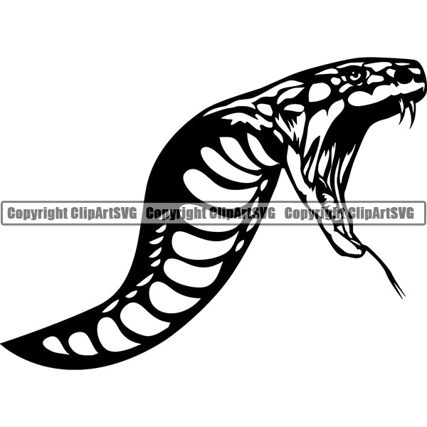 Cobra 4bnnk ClipArt SVG File