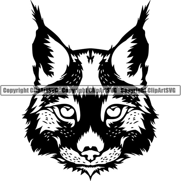 Lynx Animal ClipArt SVG
