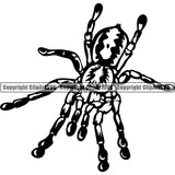 Spider Taratula Animal ClipArt SVG
