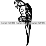 Parrot Animal ClipArt SVG