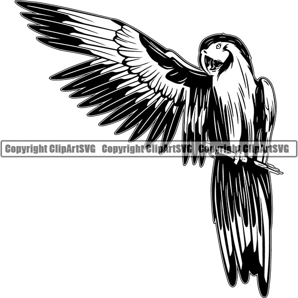 Parrot Animal ClipArt SVG