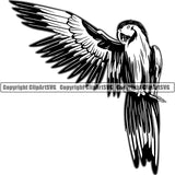 Parrot Bird Animal ClipArt SVG